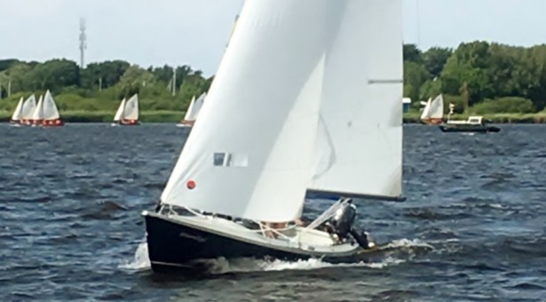 Stoarmfûgel